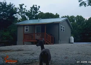 Image of Cozy cabin minutes from Lake Cumberland with room for your boat.