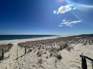 Image of Ocean View Beach Cottage W\/ Shared \"Private\" Beach #2