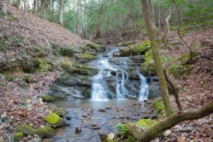 Image of Creekfront Cabin with Waterfall. Hot Tub, Fire Pit, Gameroom, and more.