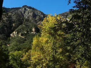 Image of 2 Bedroom Condo On The Banks Of Oak Creek