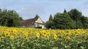 Image of Bonnes Routes - 4 star gite in the Perigord Vert