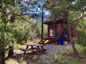 Image of Modern Cabin In The Woods