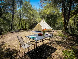 Image of Glamping in the Redwoods, with hot tub! The Knoll
