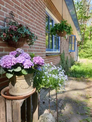 Image of Lovely house near the forest and heath in Otterlo
