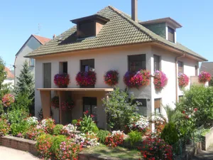 Image of Comfortable apartment house in central Alsace