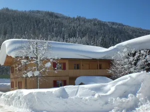 Image of Ferienwohnung in Wald am Arlberg