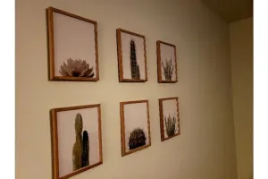 Image of Cactus Home - 1 bedroom w\/free on-premesis parking