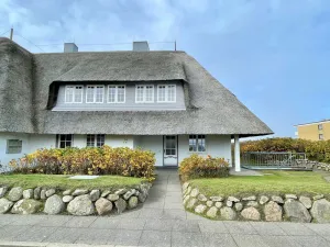 Image of Anco auf der Seedüne