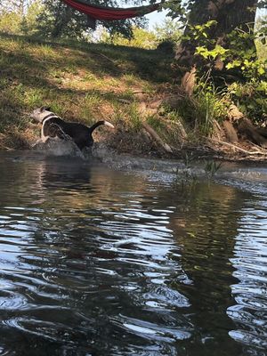 Image of Waterfront Bandera Rustic Cabin on River-pet friendly