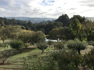 Image of Stunning family home with spectacular views