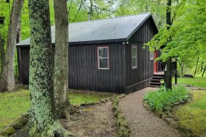 Image of Forest Cabin #3 at Camp Because I Said I Would