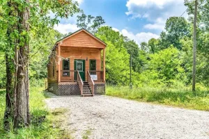 Image of Back To Nature Living In A Beautiful Tiny Home