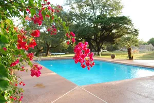 Image of Rockin' Y Ranch -  Pool, Pickleball Court, Party Barn, 15 Minutes to Downtown.