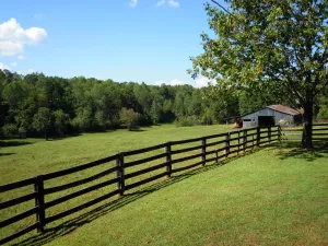 Image of Dale Hollow Cabin Next To State Park With Free Fire Pit & COVERED Boat Slip
