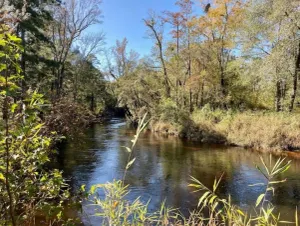 Image of Unique Creekside 2 acre property in Hope Mills, NC