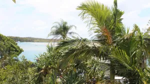 Image of Noosa River\/Munna Point are within metres of this 3 BR apartment with views.