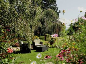 Image of Quiet location, experience with gorgeous views of the mountains, the Spring!
