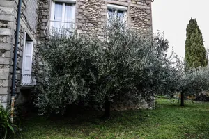 Image of Location du Canigou, Gîte 6 people. Hiking, Heritage, Festivals, Cures.