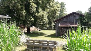 Image of Ferienwohnung Lüneburger Heide Südheide Hermannsburg Müden Örtze