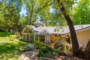 Image of The Eclipse House: Escape to the Trees