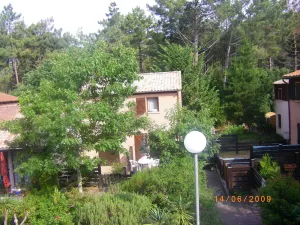 Image of Quiet house in the pinede.
