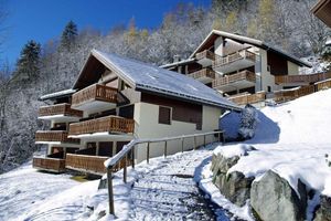 Image of 100m from ski slopes, 2nd floor, balcony, fireplace or stove, tv, ski locker, 55m²