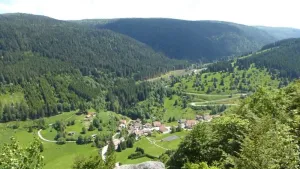 Image of Gîte de la Petite Meurthe Brimbelle