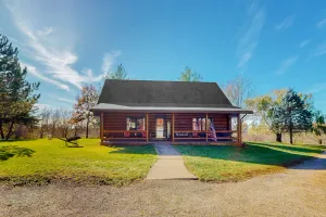 Image of Rustic dog-friendly cabin with fireplace, open layout, grill, W\/D, & firepit