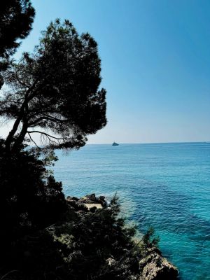 Image of Big provincial villa outside Monte Carlo