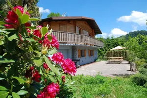 Image of Mountain cabin comfort, the slopes