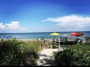 Image of Studio on the Bay.