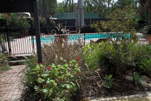 Image of Wilderness cabin Lovedale