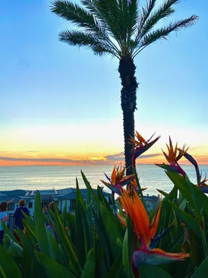 Image of Coastal Getaway - A Wave From It All