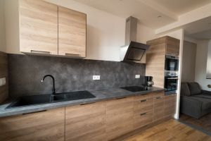 Image of Spacious character apartment in the center of Mirecourt