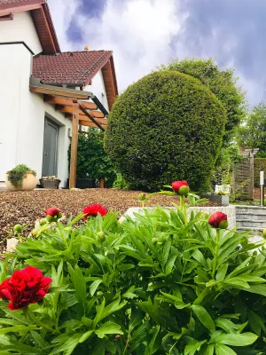 Image of Holiday house at the gateway to the Wachau