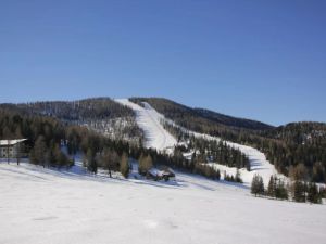 Image of Almvilla Hochrindl
