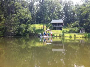 Image of Luxurious Cabin Retreat near Oglebay Park