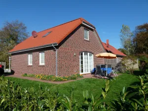 Image of Blaue Möwe