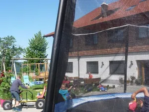 Image of Holiday apartment with meadow view - Familienferienhof Stabauer (4 flowers)