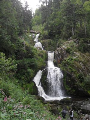 Image of Family-friendly Non smoking holiday flat with garden in Freiburg-Gundelfinge