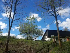 Image of Sauerland-AlmWinterberg