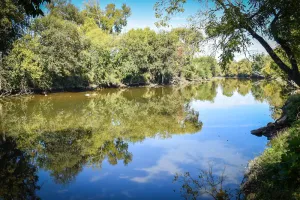 Image of New! River Retreat! Spacious home on the Little Pigeon River!