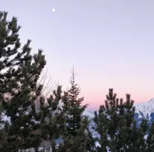 Image of Superb apartment on the slopes in La Toussuire - Les Sybelles.