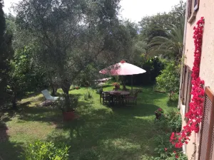 Image of Mare è Monte , jardin méditerranéen et exotique.