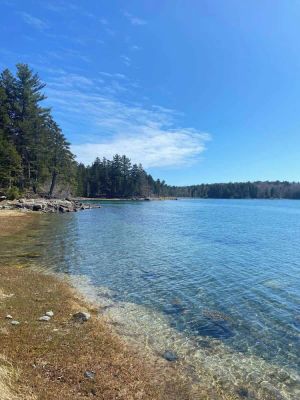 Image of Bar Harbor Waterfont- Eagles Aerie!