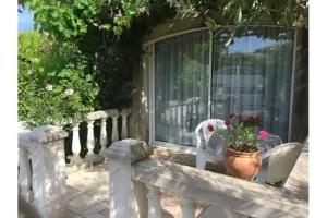 Image of IN THE SHADE OF THE OLIVE TREES