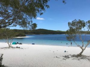 Image of Kokomo at Kingfisher Bay