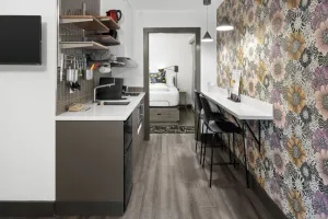 Image of Downtown Deluxe King Suite. Kitchenette, Free Breakfast, and Rooftop Hot Tub!