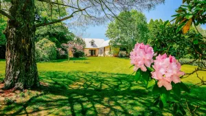Image of Green Meadow Farm - wonderful country stay for families & friends