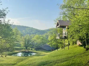 Image of The \"Hang-over\"  Winery Treehouse